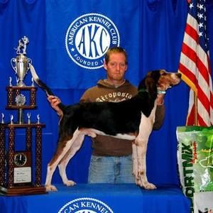 Meet your Posher, Eddie